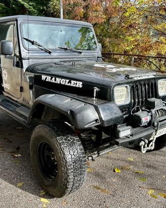 Jeep Wrangler 4x4 (4 posti)