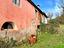Immagine 26