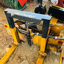 Ribalta bins falconero