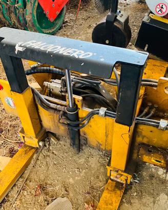 Ribalta bins falconero