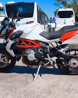 MV Agusta Brutale 800