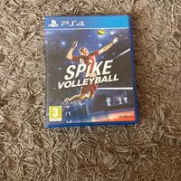 Spike volleyball