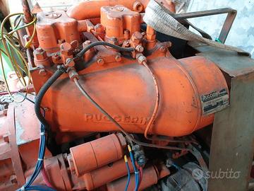 Ruggerini bicilindrico P101/2l