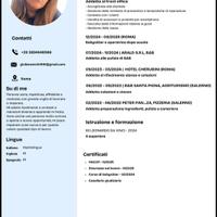Front office, babysitter o altro
