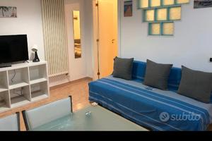 Bilocale ristrutturato ed arredato