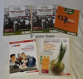 libri scolastici  5° anno liceo