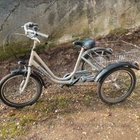 Bicicletta Tre Ruote