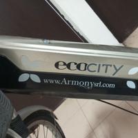 bici pedalata assistita 