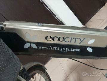 bici pedalata assistita 