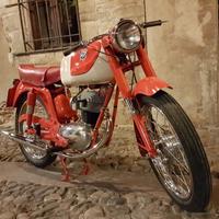 MV Agusta Altro modello - 1954