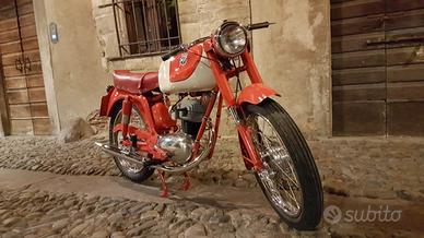 MV Agusta Altro modello - 1954