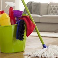 Collaboratrice domestica