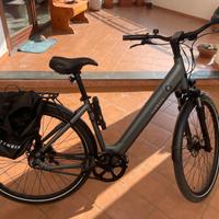 Bici Elettrica Tenways CGO 800s