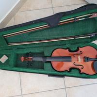 violino