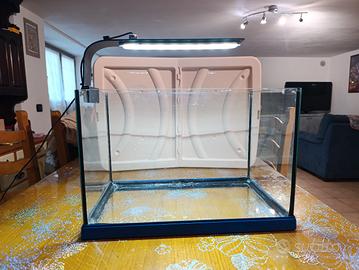 acquario 25 litri 