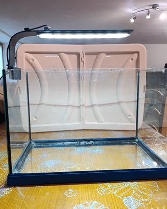 acquario 25 litri 