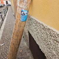 Canniccio/Arelle bambù 