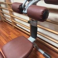 Panca addominali technogym