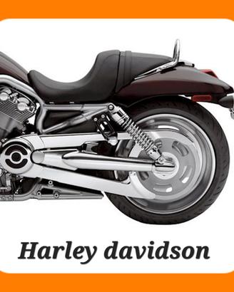 PROTEZIONE CINGHIA HARLEY DAVIDSON V-ROD