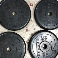 Pesi palestra dischi da 10 Kg