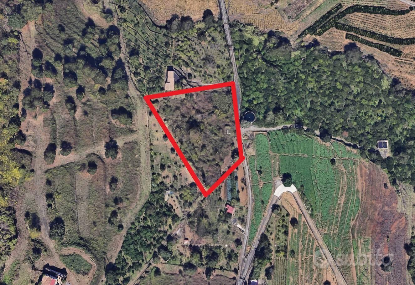 Terreno agricolo - Mascali - More