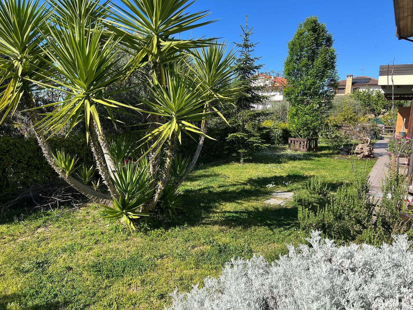 Casa – Torrevecchia Teatina, Baboro - Altro