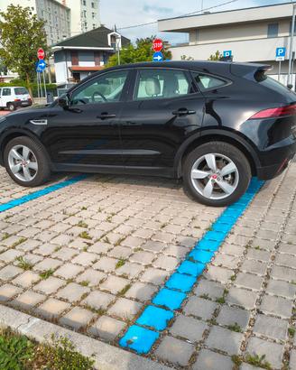 JAGUAR P200S