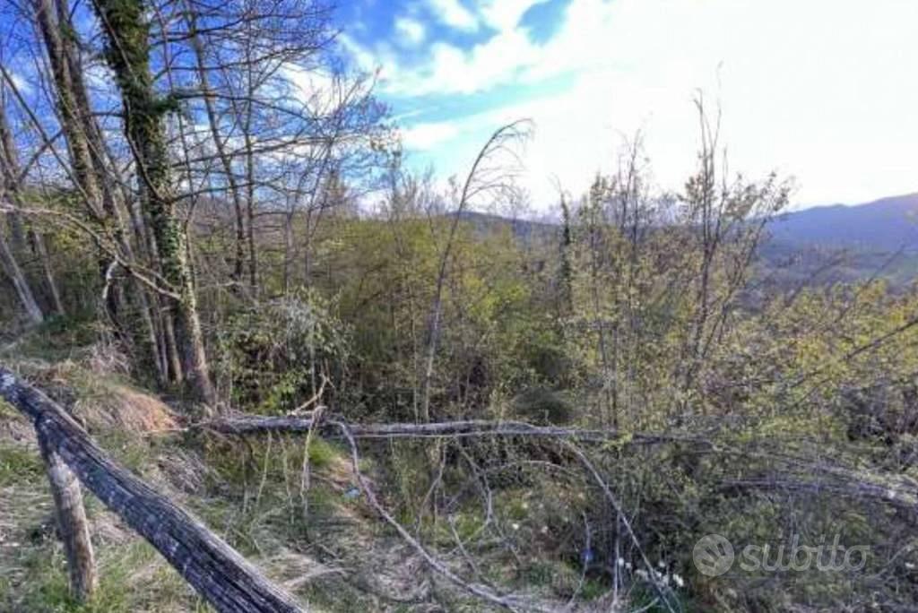 Immobile in asta di 14363 m² a Monzuno - Vista 4
