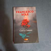 SOLE FRANCESCO - Così è l’amore