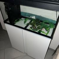 Acquario con mobile