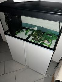 Acquario con mobile