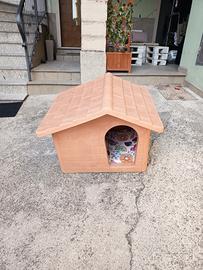 cassetta cane