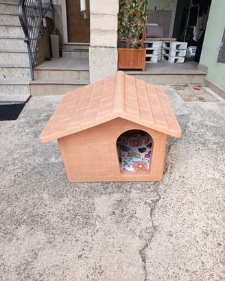 cassetta cane