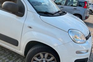 VENDUTA Pandina bianca neopatentati Panda