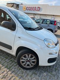 VENDUTA Pandina bianca neopatentati Panda