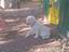 Immagine 1