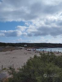 Terreno Agricolo Isola di San Pietro Carloforte