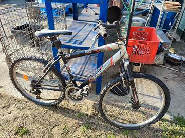 MB Girardengo 