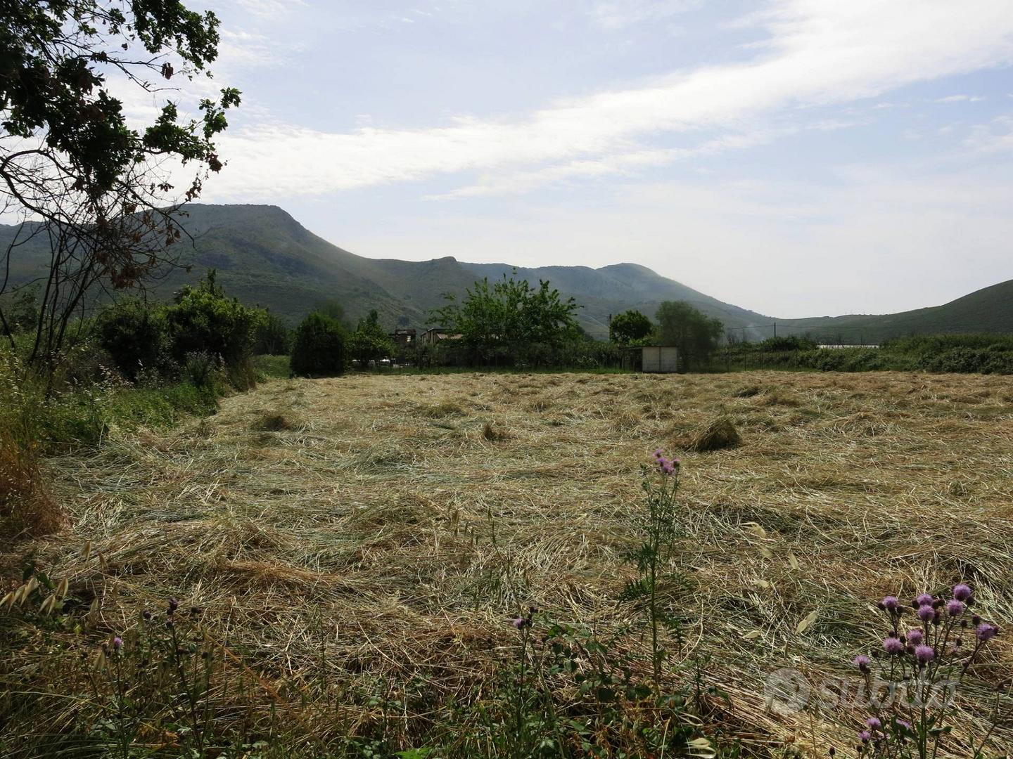 Terreno agricolo - Fondi - Vista 5