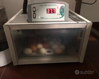 Incubatrice Fiem cip cip 28