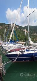 Barca a vela Cecco 8