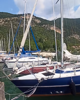 Barca a vela Cecco 8