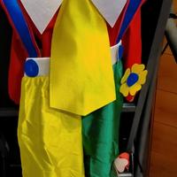 Vestito di carnevale pagliaccio.