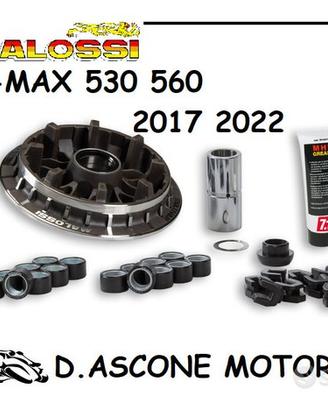 Variatore malossi mhr 530 560 2017 2022