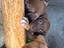 Immagine 3