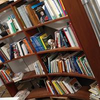Libreria Curva in lego massello Arboris Thema