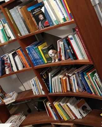 Libreria Curva in legno massello Arboris Thema