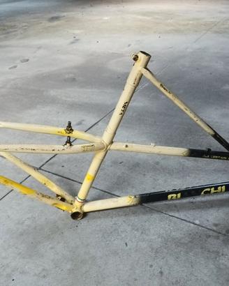telaio BIANCHI RAGNO 