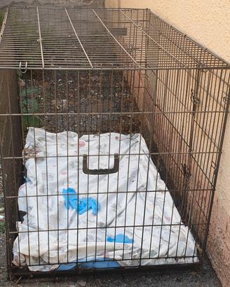 Gabbia smontabile 123x83x75 cm
