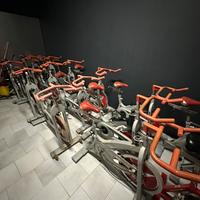 Spinning Schwinn original